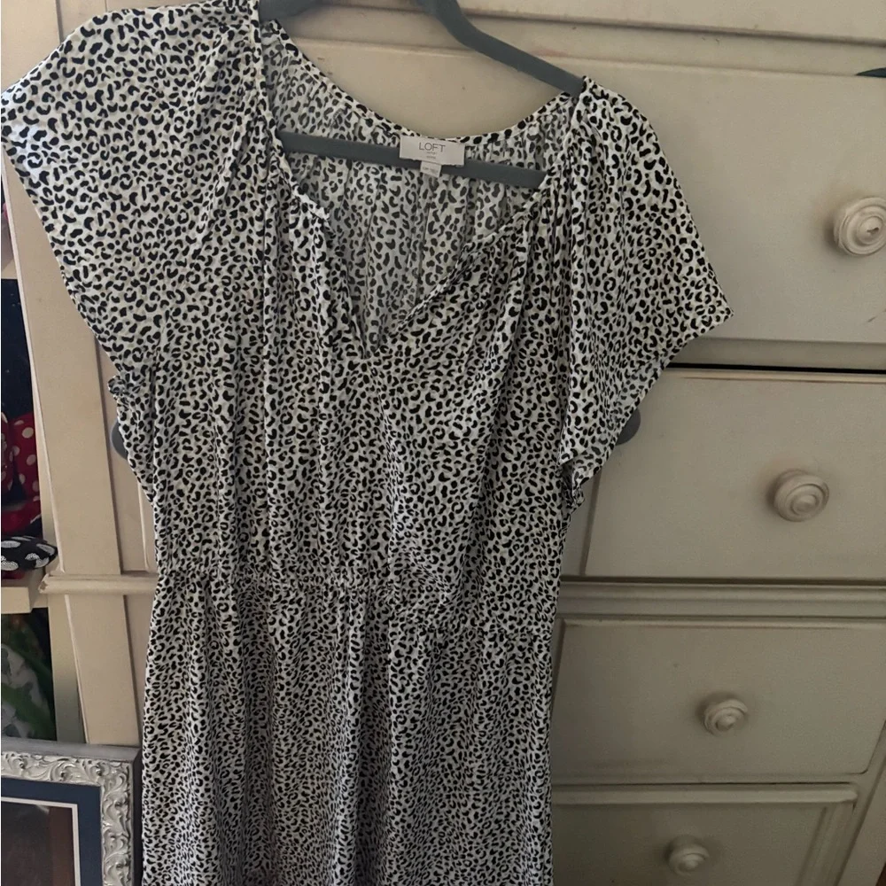 LOFT Outlet Petite Leopard Print dress - Black & Cream - Picture 4 of 5